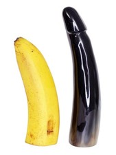 echt Horn Phallus Skulptur Trinkhorn 19 cm gl&auml;nzend poliert Erotik Figur Afrika