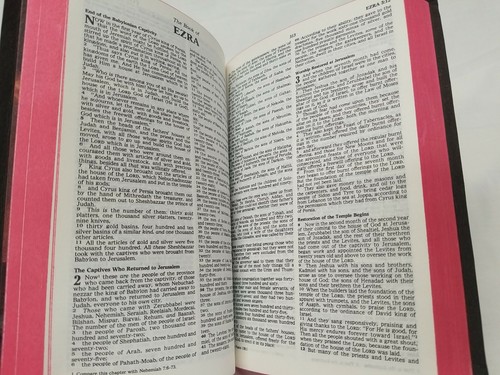 HOLY BIBLE New King James Version Red Letter Dictionary Concordance Nelson - Picture 10 of 12
