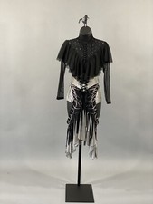 Beautiful Elegant Latin Rhythm Dance Dress Costume