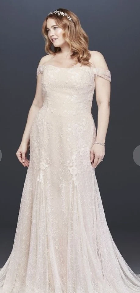 David's Bridal Melissa Sweet SIZE 24W Wedding Dress Layered Lace Ivy MS251196 - Image 2 of 4