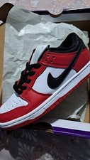 Nike sb Dunk Low Pro
