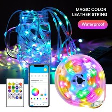 LED Smart Fairy String Lights, Color-Changing, Music Sync, App  Remote Control