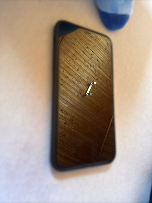Iphone 11 Pro Max 256 Gb