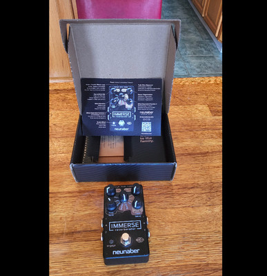 Neunaber Immerse Reverberator Mk II Guitar Pedal | eBay