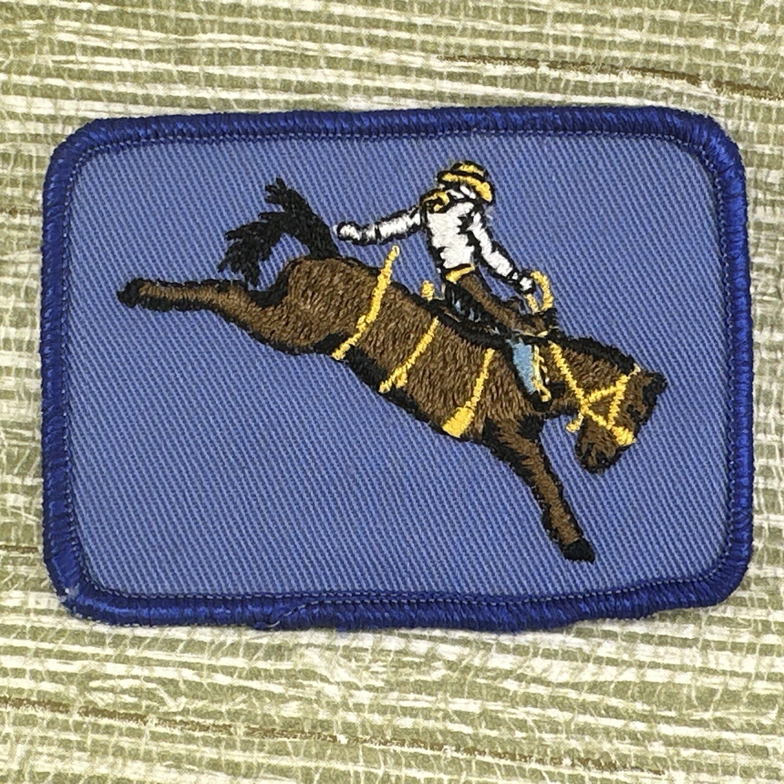 Picture 1 of 11
