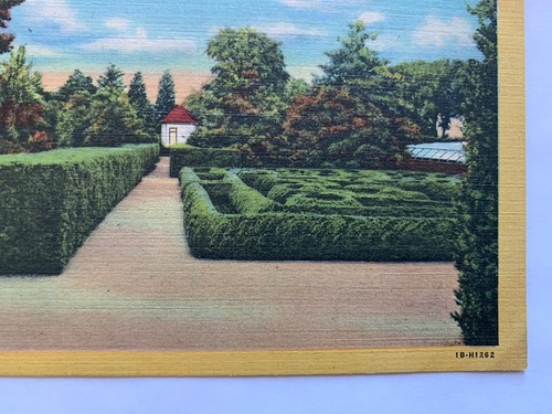 VINTAGE POSTCARD UNUSED SCENIC BOXWOOD GARDEN MT. VERNON VIRGINIA 1 CENT STAMP - Picture 3 of 7