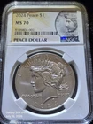 2024-P Peace Dollar (2021-Present) — photo from another recent sale