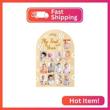 R HORSE My First Year Photo Display Wood Board, 3D Daisy Baby's First Year Pictu