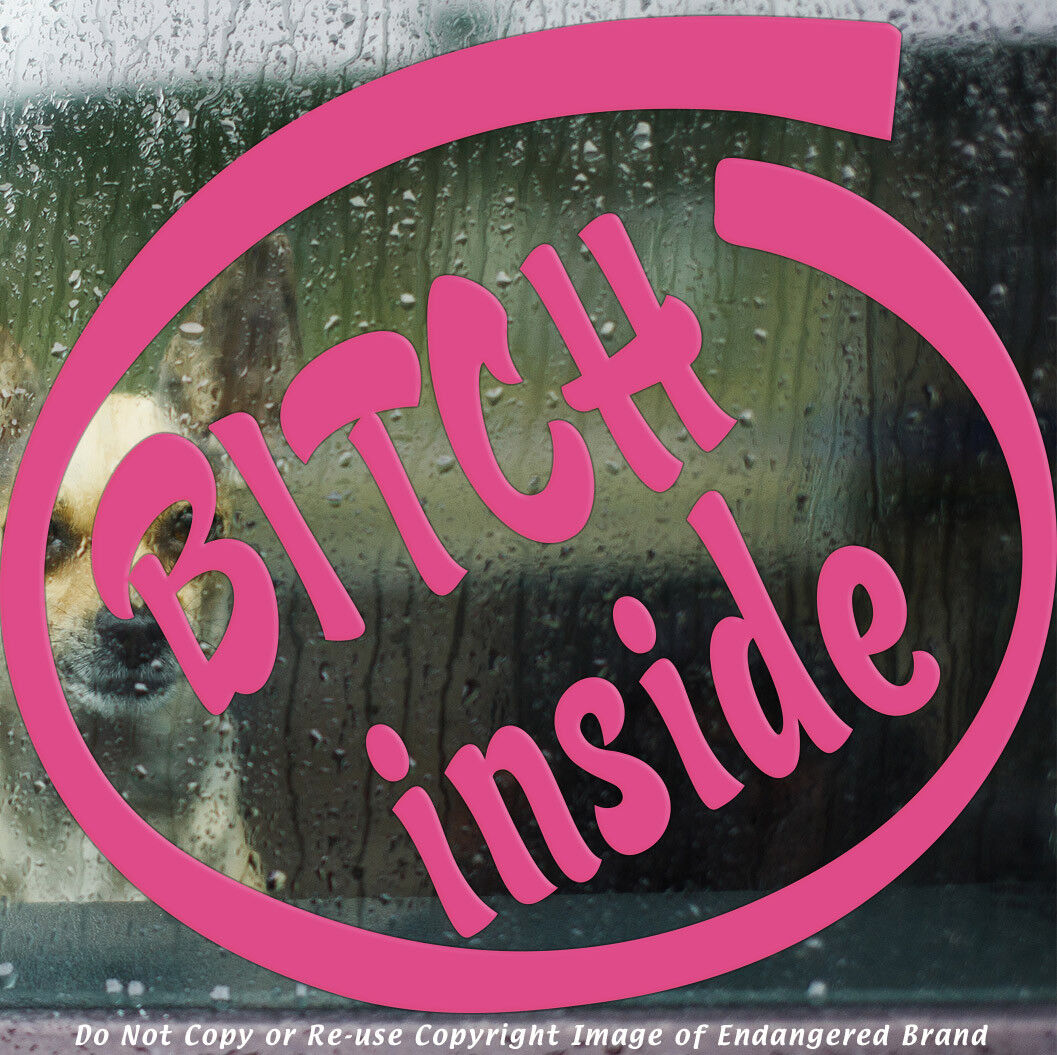 Funny Bitch Inside Girl Stuff JDM Boost Drift Fits Jeep Truck Car Sticker  Decal