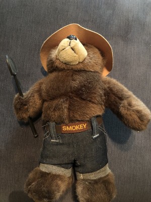 Smokey The Bear Plush 16â€  Stuffed Animal 2005 | eBay
