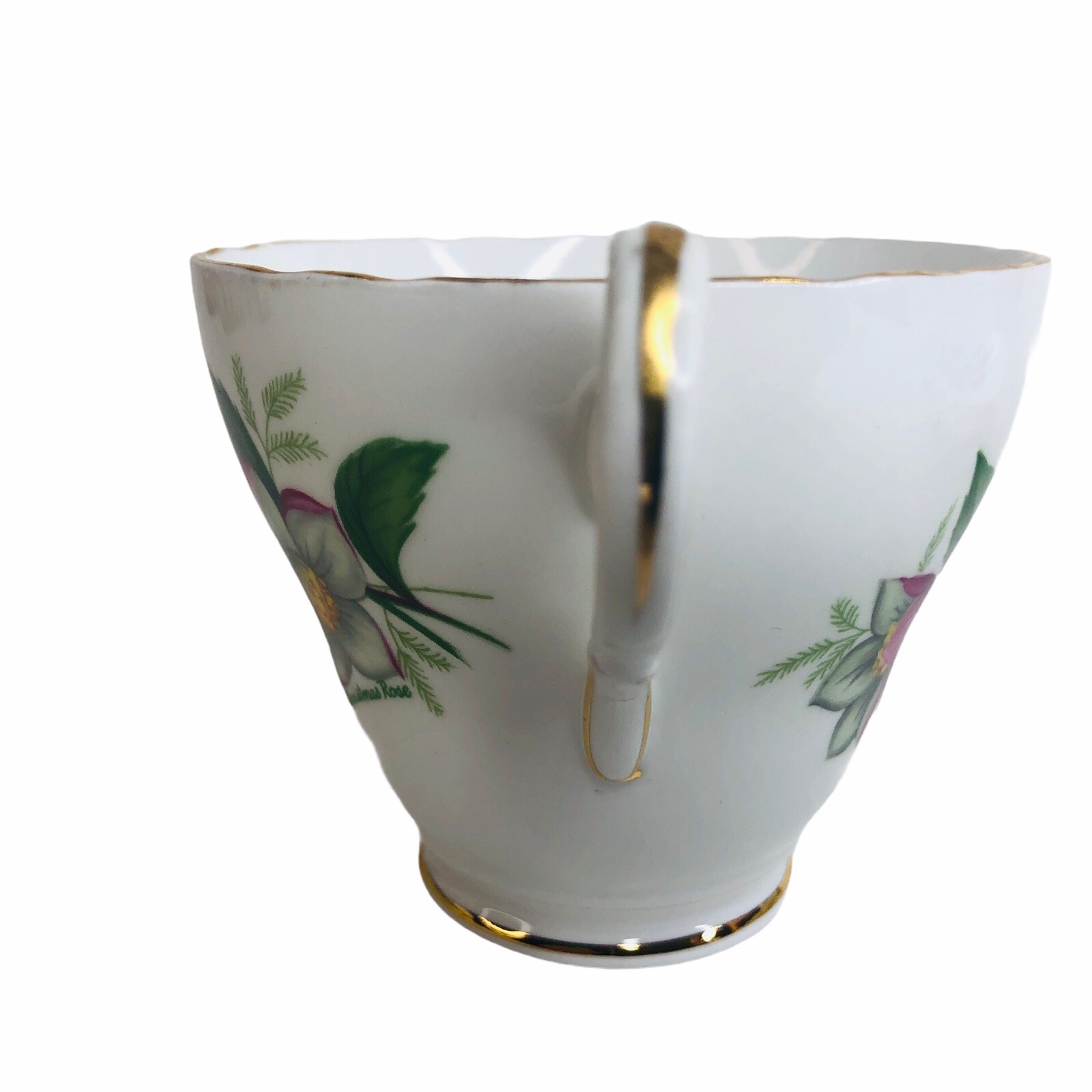 Regency England Bone China Tea Cup And Saucer Set Lenten Christmas Rose VIntage eBay