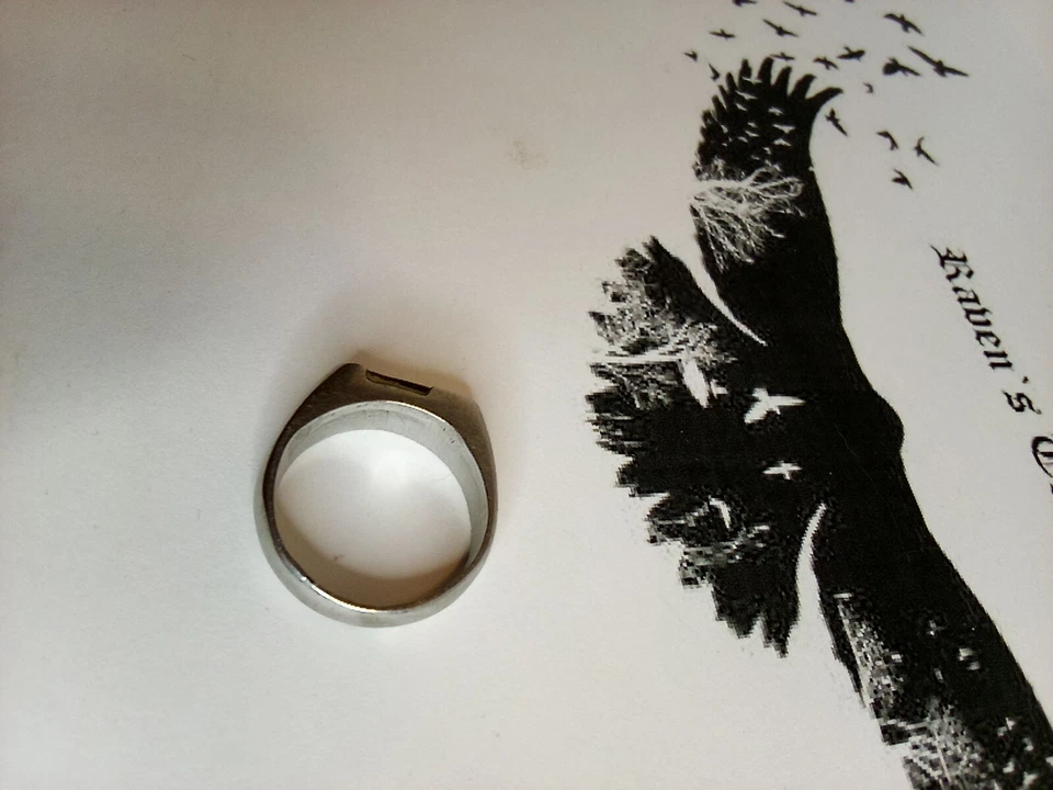 Anillo con carcasa de abulón de acero inoxidable tamaño 9 Foto 3 de 4