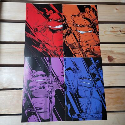 TMNT #1 Exclusive Dustin Nguyen NYCC Virgin Variant Set | eBay
