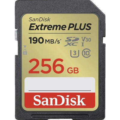 SanDisk SDSDXWV-GNCIN EXTR.PLUS 2 Speicherkarte 256 GB SDXC