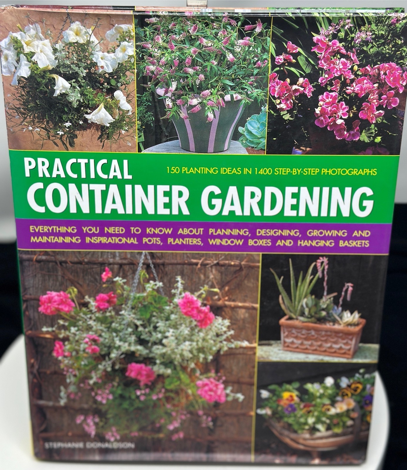 Practical Container Gardening: 150 Planting Ideas by Stephanie Donaldson