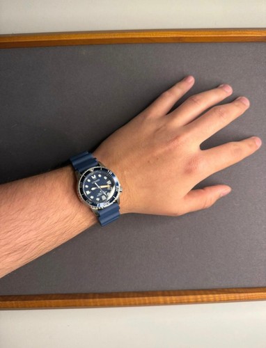 Citizen Promaster Eco-Drive Diver