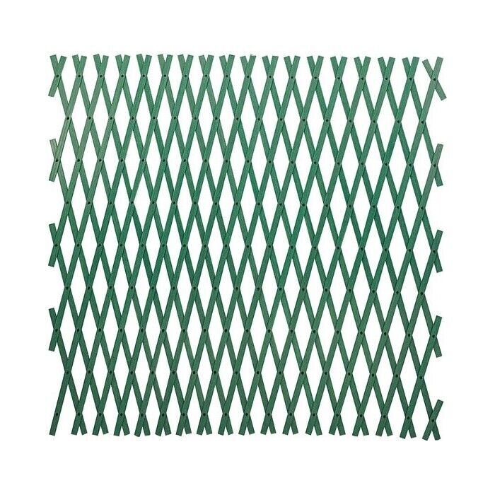 Traliccio Estensibile in Pvc colore Verde 2X1 Mt tipo rinforzato