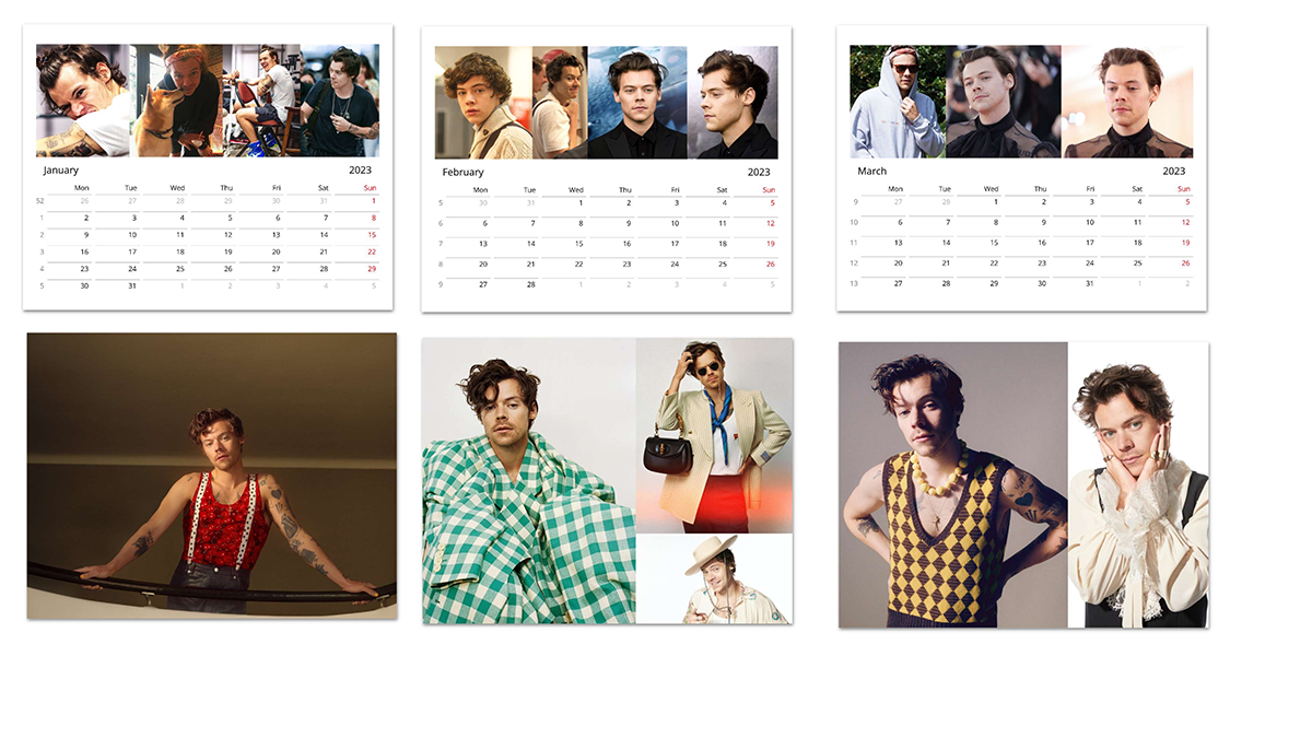 Harry Styles 1D 2023 Wall Calendar, Harry Styles gift, Harry Styles merch  poster | eBay