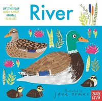 Animal Families: River Buch Animal Families Englisch 2022 Candlewick Press (Ma)