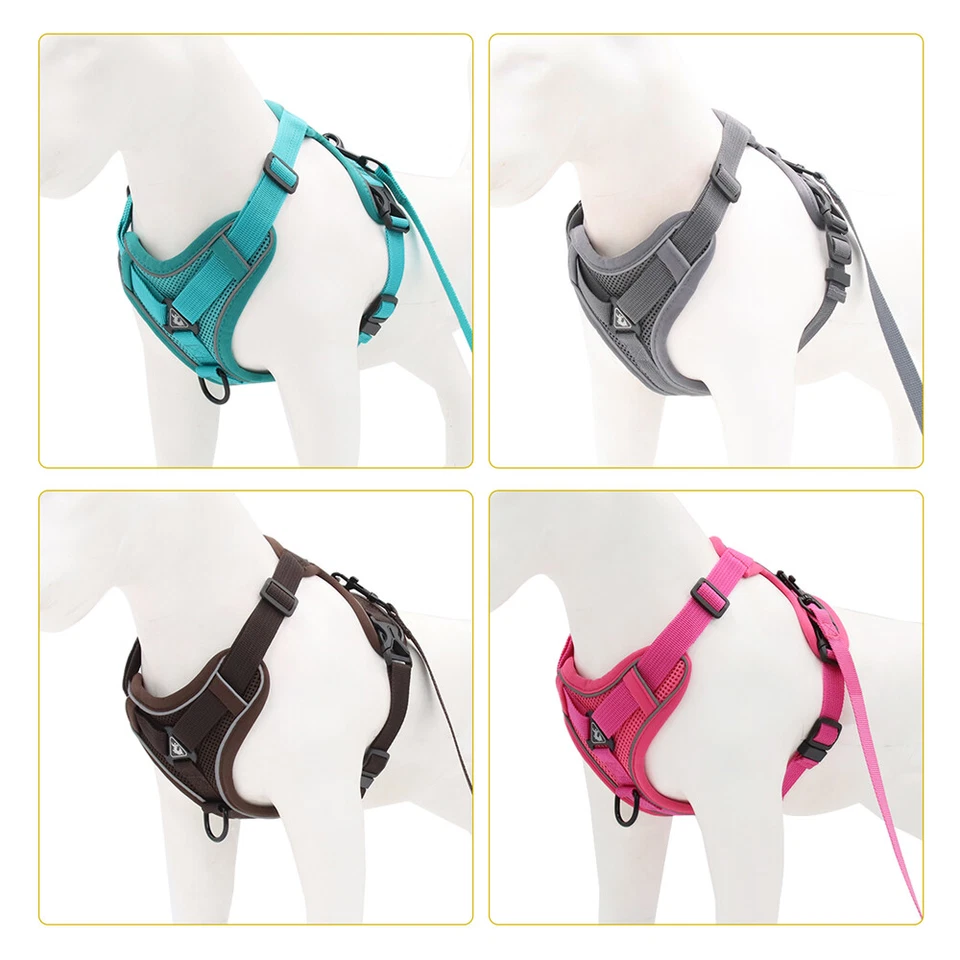 Hundegeschirr +Leine für kleine Hunde und Katzen Verstellbar Reflektierend Weste - Bild 4 von 4