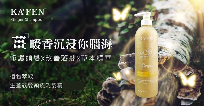 KAFEN] Ginger Shampoo 500ml 生薑韌髮頭皮洗髮精 | eBay