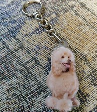 Cute White Poodle Dog Animal - Mirrored Back Sealed Keychain