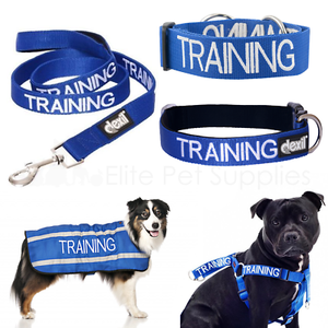 dex dog harness