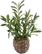 Indoor Fake Olive Plants 17.7 Inches Tall Lifelike Artificial Olive Plants with 