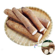 6 Semillas Dioscorea Polystachya Ñame Chino Canela Vid Huaishan Tubérculos Comestibles