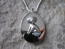 STAINLESS STEEL DOG URN NECKLACE - MOURNING, ASHES, FUR, PET MEMORIAL