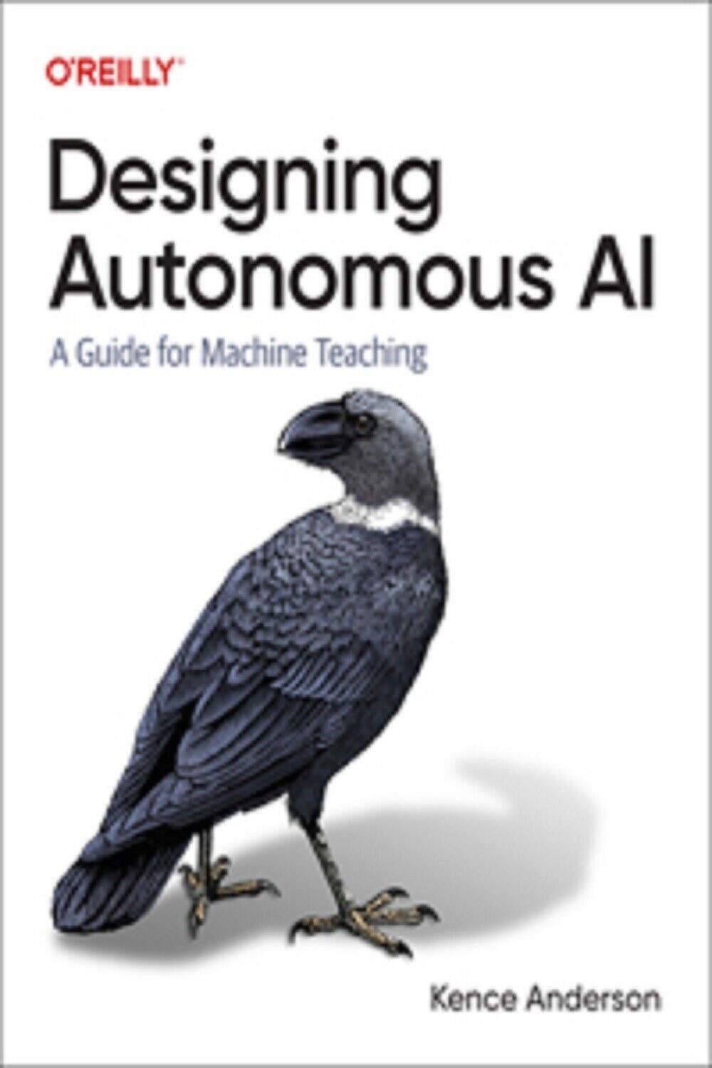oreilly Designing Autonomous AI Paperback q024