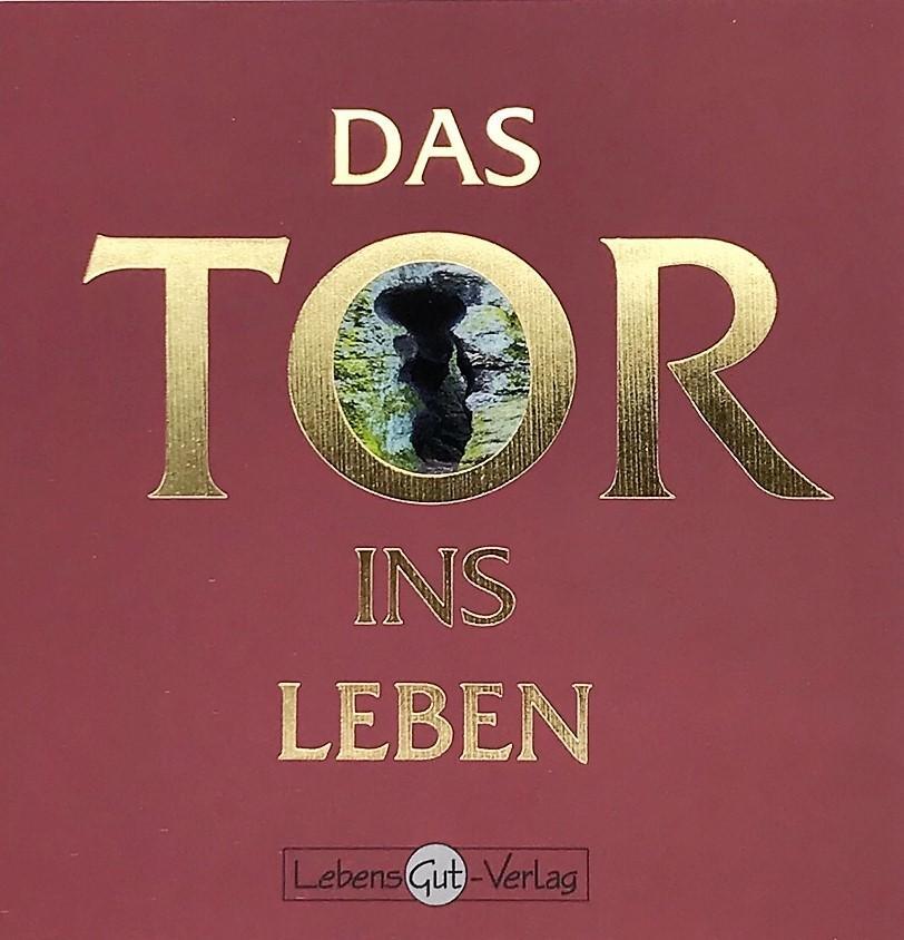 Thumbnail - Das Tor Ins Leben Grit Scholz
