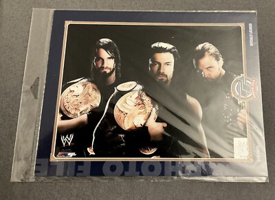 THE SHIELD 8x10 UNSIGNED PHOTO LICENSED PHOTOFILE WWE WRESTLING ROLLINS REIGNS
