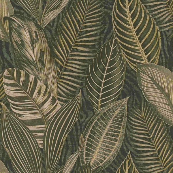 Vliestapete 751826 Tapete Botanical Jungle 53 X 1005 Cm Rasch African Queen Iii-image