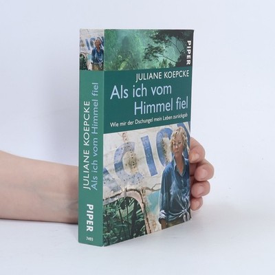 Als ich vom Himmel fiel  |  Juliane Diller