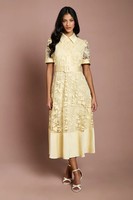 Coast Lemon Fit & Flare Dress Womens Occasion Dresses
