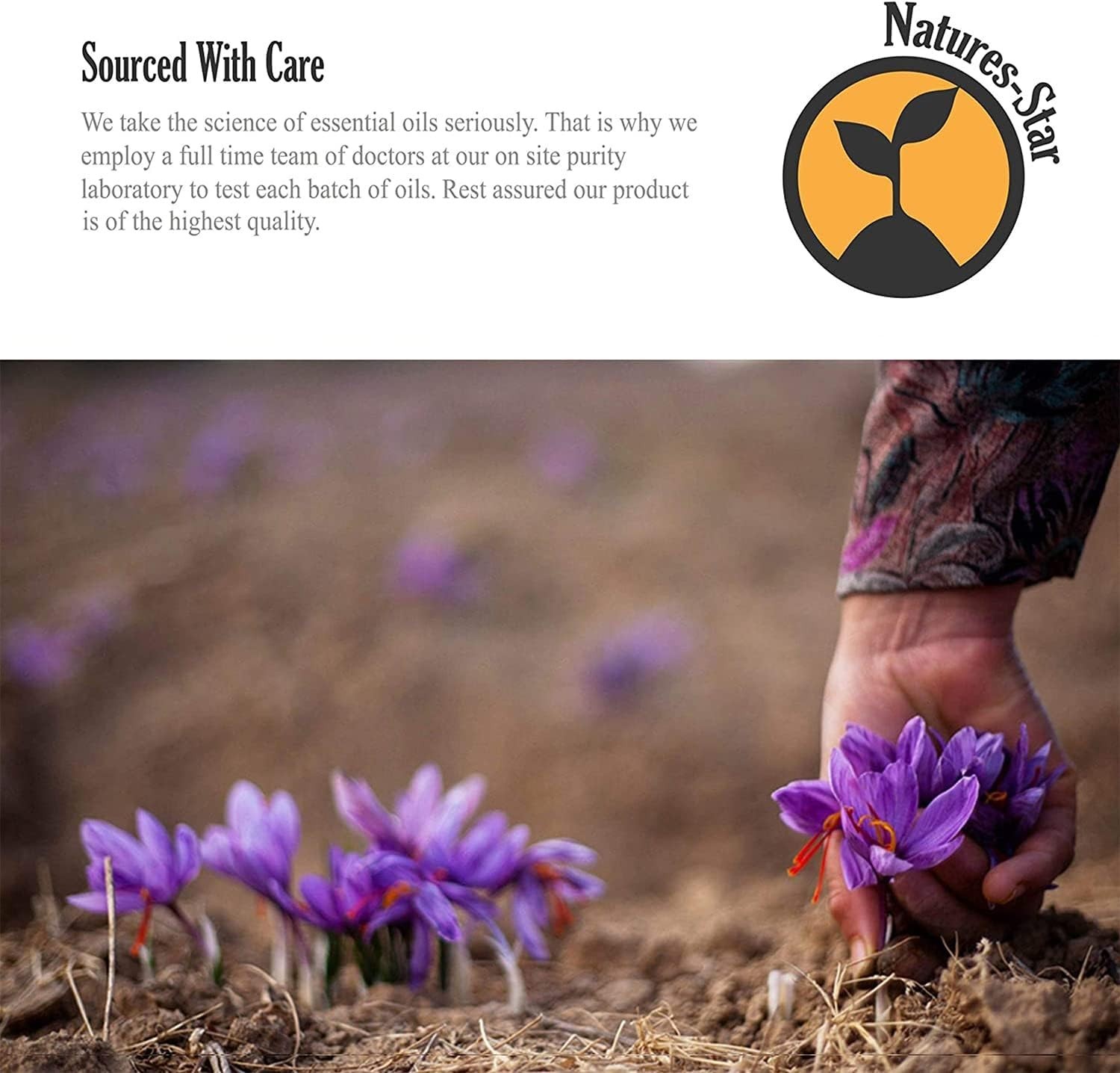 16oz Lavender Essential Oil, Aromatherapy Grade thumbnail 6