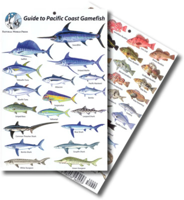 Pacific Coast Gamefish Identification Card