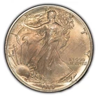 1989 1 oz Silver American Eagle - Pastel Toning - BU - SKU-E2814