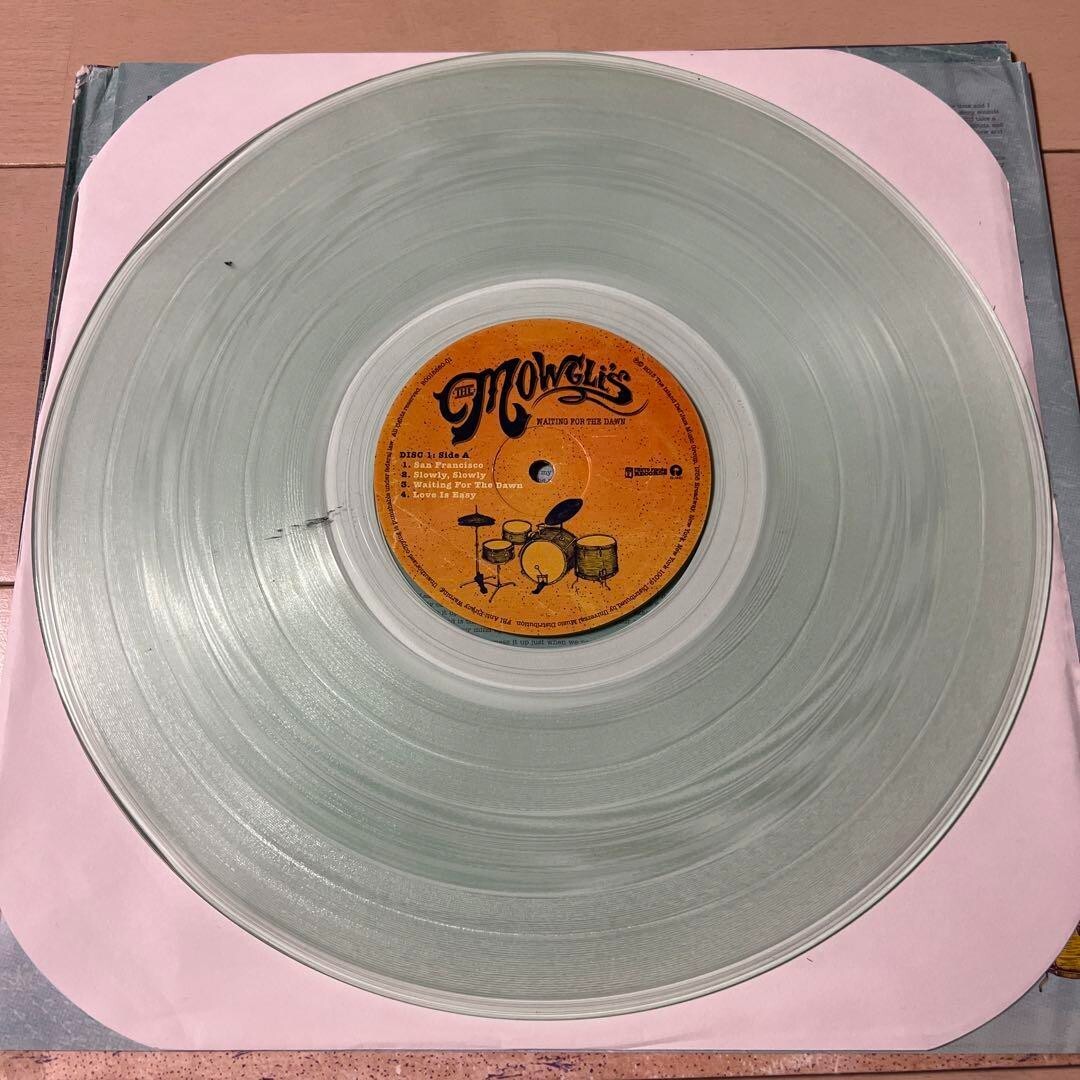 The Mowgli's/Waiting For The Dawn レア盤 LP The Mowgli's / Waiting For The Dawn 2013 US 2LP Photo Finish