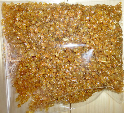 L’accusa: "Bilanci Gonfiati Per Nascondere Il Progressivo Dissesto Dell’impresa - Foto 5