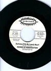 SOUNDS OF MODIFICATION- "DARKNESS FILLS MY LONELY HEART"/"I'M DOWN AGAIN"- PROMO
