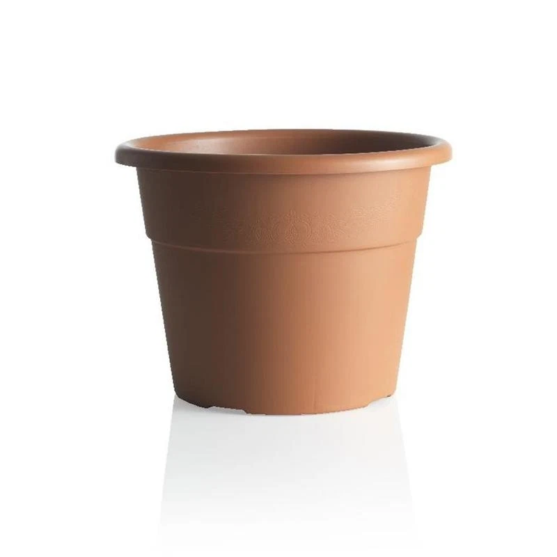 Terra Cotta - Set Da 6 Vasi In Terracotta Bianca Con Piattino 15,5 Cm - Per Piante Grasse E Cactus - 2