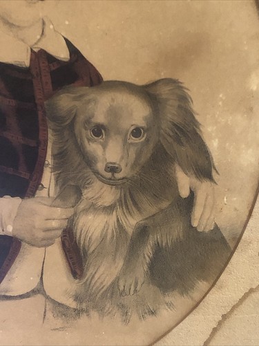 American Folk Art 1800er Junge Hund gerahmt Porträt - Bild 4 von 12