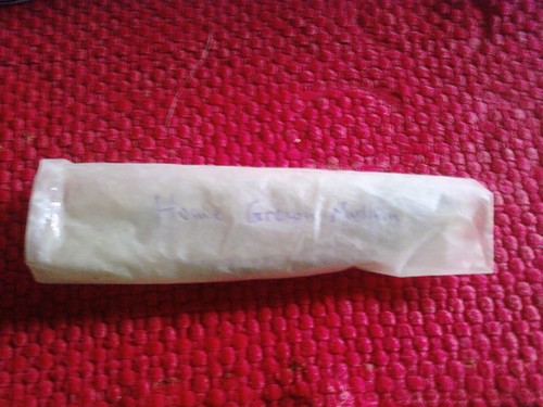 Mullein in any size package - Picture 2 of 3
