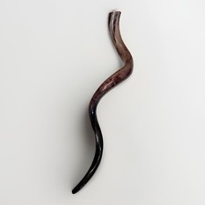 Shofar Yemenite Kudu Horn 47  -54  XXXXL New Kosher Full Polish Free Shipping USA