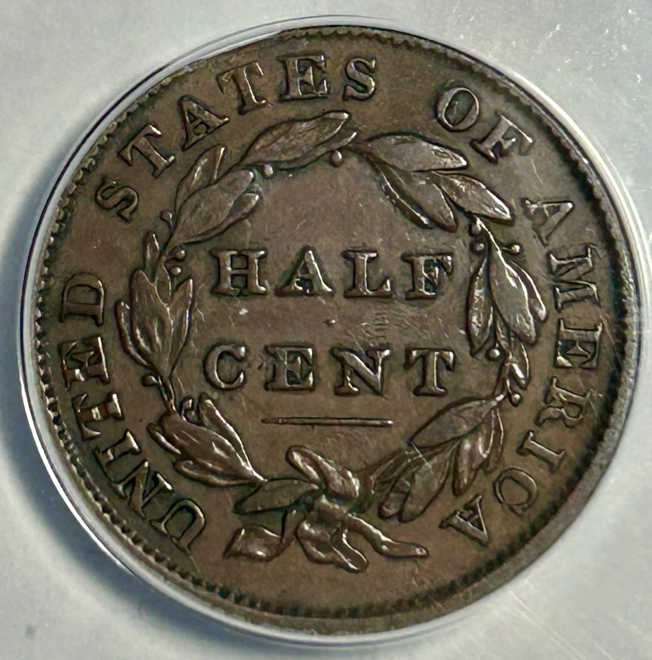 1833 1/2C Mint Error Classic Head Half Cent  (ANACS XF40 Rim Clip) RW18924VB - Image 4 of 4