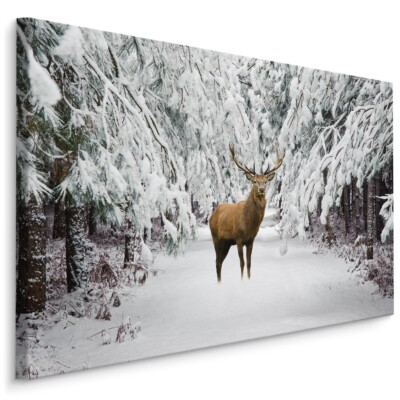 CANVAS Leinwand Bilder XXL Wandbilder Kunstdruck Natur Tier Hirsch Winter 1080