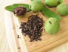 Black Walnut Hull | Whole or Powder | Natural Detox Parasite Support | 1/4/8 oz