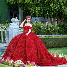 Red Quinceanera Dresses Sequins Fabric Flower Dance Party Gown Birthday Big Bow
